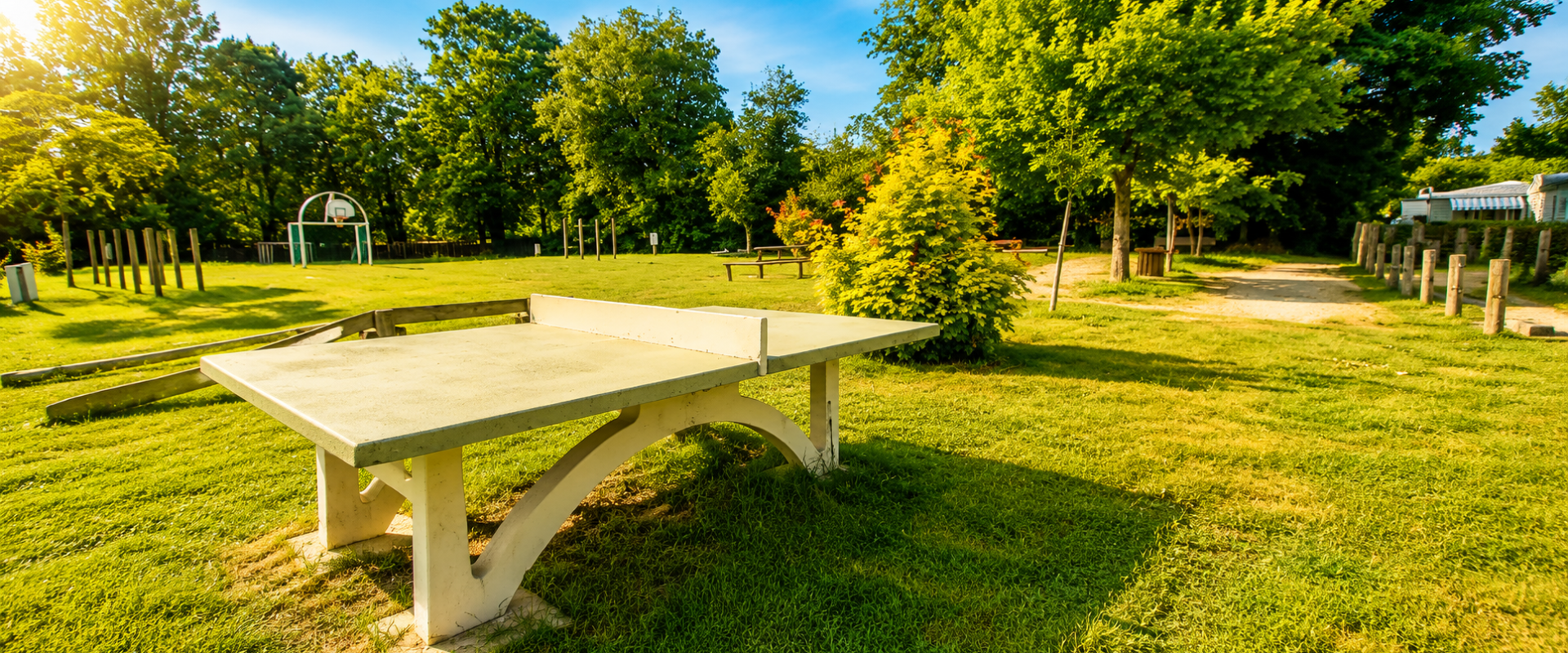 Camping La Vie : D Table Tennis Terrain